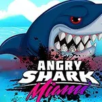 Köpekbalığının ağzı açık ve dişleri görünen bir görsel üzerinde Angry Shark Miami yazısı