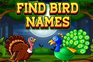 Bir hindi ile tavus kuşunun ormanda karşılıklı durduğu ve üst kısımda Find Bird Names yazısının yer aldığı çizim