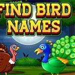 Bir hindi ile tavus kuşunun ormanda karşılıklı durduğu ve üst kısımda Find Bird Names yazısının yer aldığı çizim