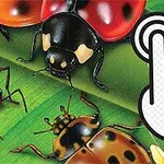 Uğur böcekleri ve çimenler üzerinde yer alan diğer böceklerin yanında ekran tıklama simgesi