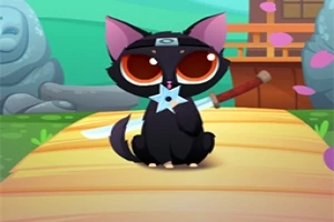 Büyük gözlü, siyah bir kedi ninjalık başbandı takmış şekilde, bir adet ninja yıldızı ve kılıçla ahşap bir platform üzerinde oturuyor