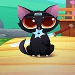 Büyük gözlü, siyah bir kedi ninjalık başbandı takmış şekilde, bir adet ninja yıldızı ve kılıçla ahşap bir platform üzerinde oturuyor
